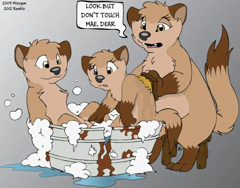 Marten_Family