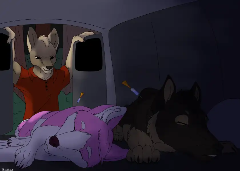 Stray_Canine_Reformation_Program