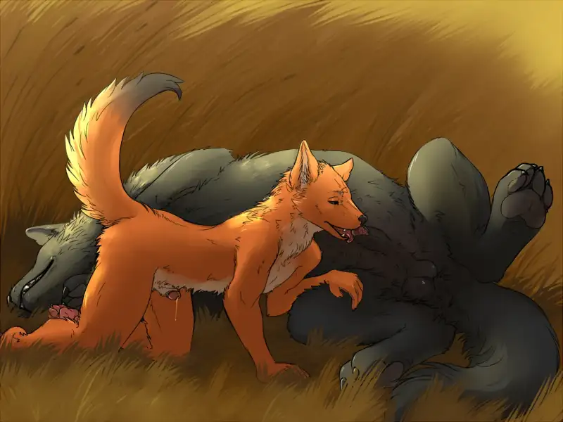 To_X_a_Wolf_[styxandstoned]