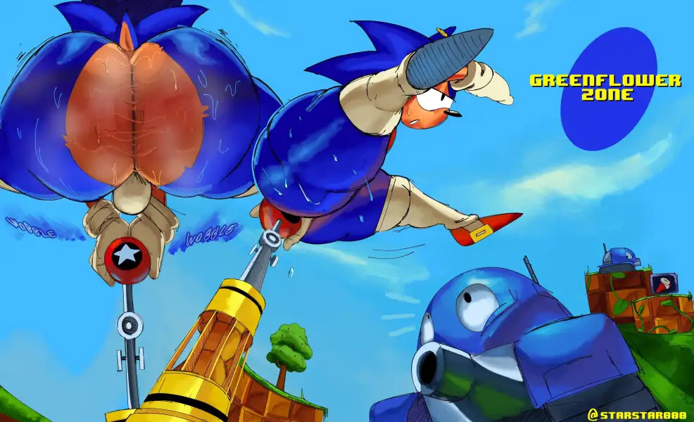 Sonic_Robo_Blast_2_[Starstar000]